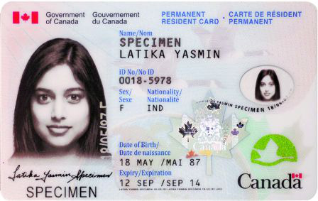 加拿大护照枫叶卡照片拍摄